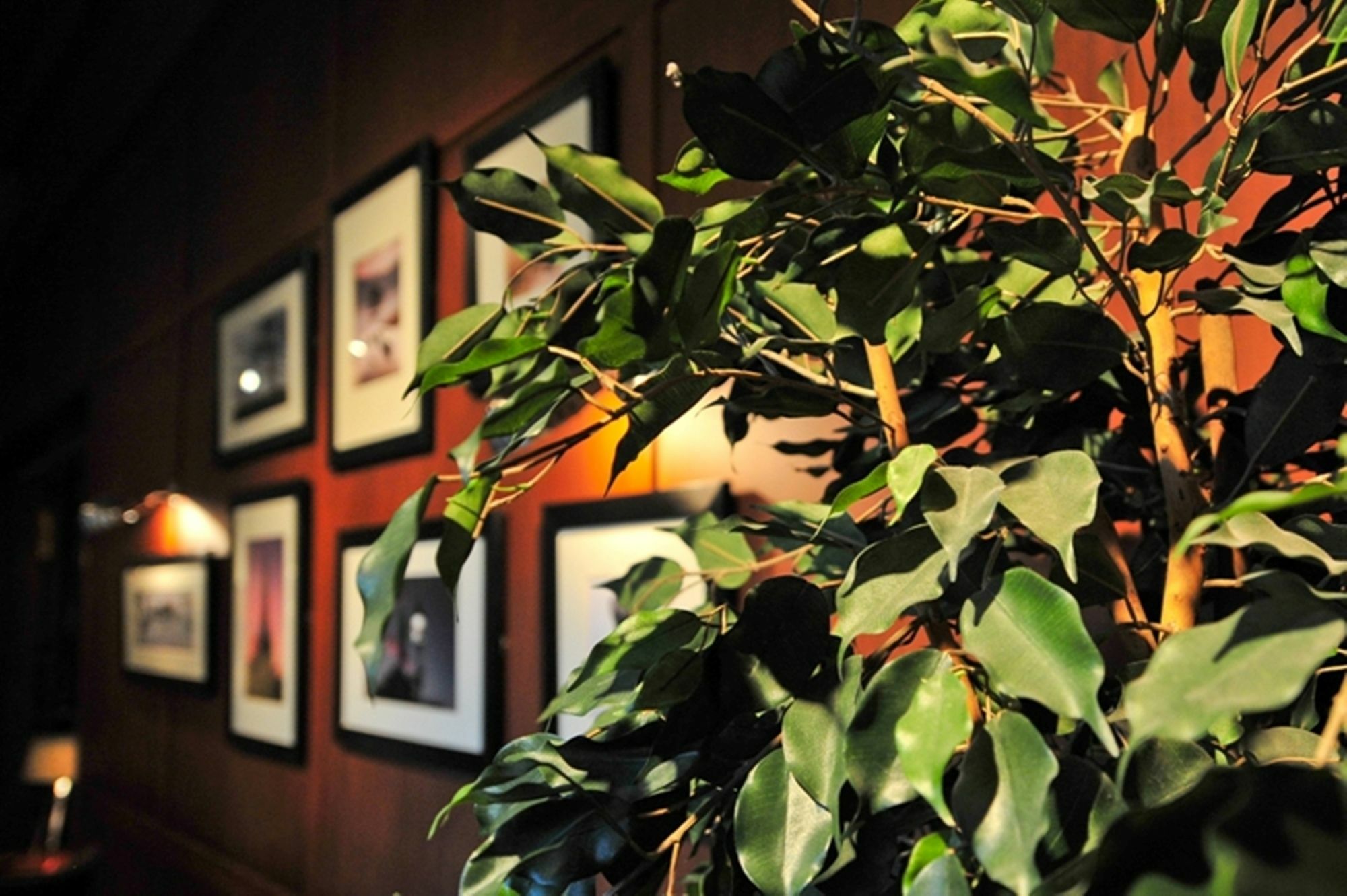 Savoy Park Hotel Ayr Dış mekan fotoğraf